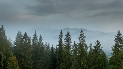 Forest and mountain range in cloud covereage