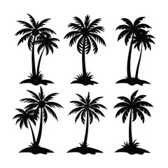 Fototapeta premium Elegant Codate Palm Tree Vector Illustration in Silhouette Style