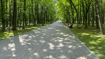 pathway in a summer city garden in the bright sunny day. panoramic view.