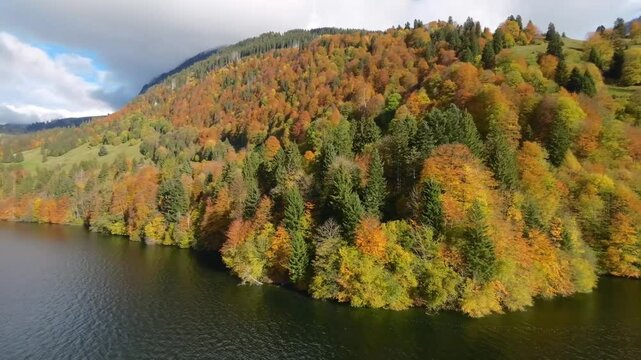 Drone Aerial Flight Over Switzerland Lake