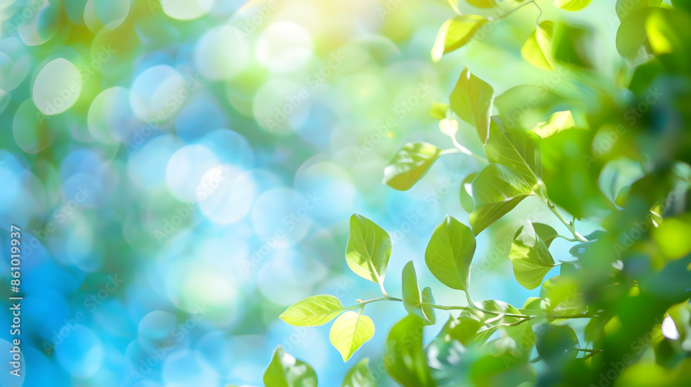 Poster summer background of blue and green blurred foilage and sky with bright bokeh blurry abstract summer