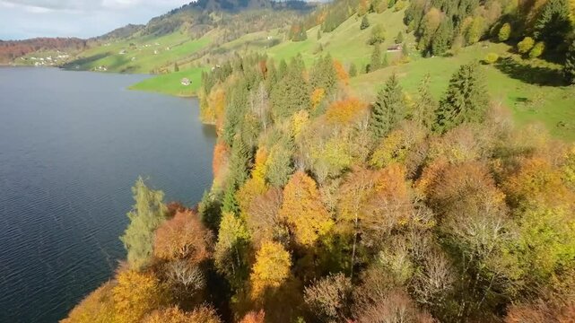 Drone Aerial Flight Over Switzerland Lake