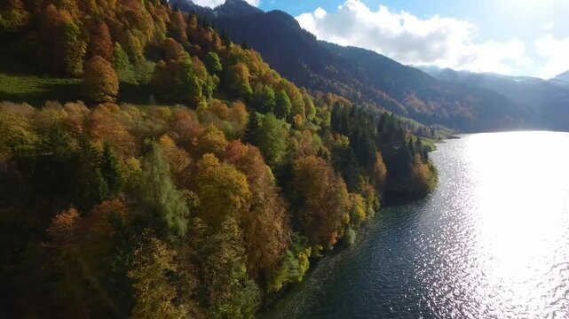 Drone Aerial Flight Over Switzerland Lake