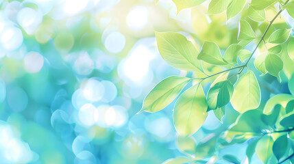 Summer background of blue and green blurred foilage and sky with bright bokeh Blurry abstract summer background Natural green leaves using as cover page greenery environment ecology ba : Generative AI