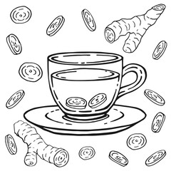Set with glass cup tea, ginger. Hand drawn vector illustration in outline style.