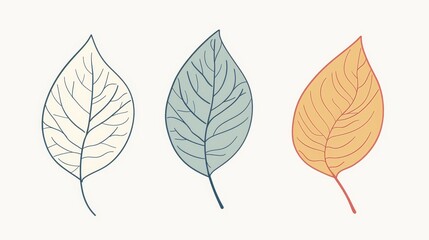 Obraz premium Simple leaf illustration with editable stroke, designed for easy color changes, featuring smooth, clean lines and a minimalistic style