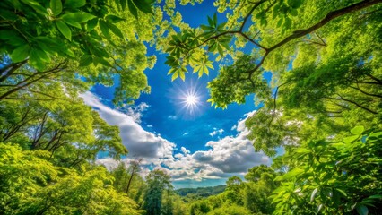 Vibrant blue sky peeks through lush green foliage, crafting a stunning natural frame, evoking serenity in this idyllic outdoor landscape.