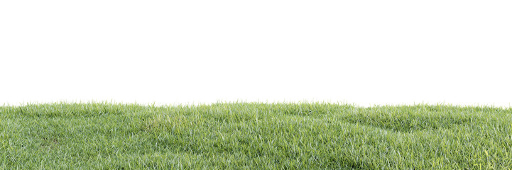 Green grass on transparent background 3d rendering