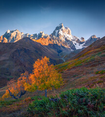 Dramatic autumn view of Ushba peak. Fantastic morning landscape of Caucasus mountains. Beautiful outdoor scene of Upper Svaneti, Georgia, Europe. Travel the world..