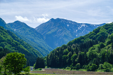 Fototapeta premium 越後駒ヶ岳と川