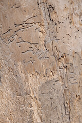 Embossed creative old wood texture