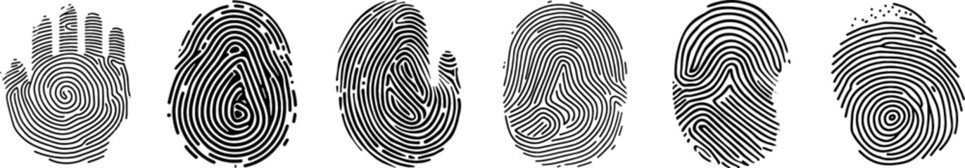 fingerprint vector set. identity biometric system. Security id verification human. Vector fingerprint collection.
