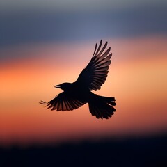 Obraz premium Silhouette of Bird Flying Against Twilight Sky Symbolizing Freedom and Mystery of Night