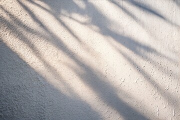 Fototapeta premium Soft Shadows on Light Gray Wall Background 