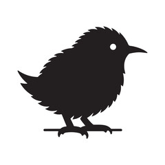 kiwi bird silhouette vector