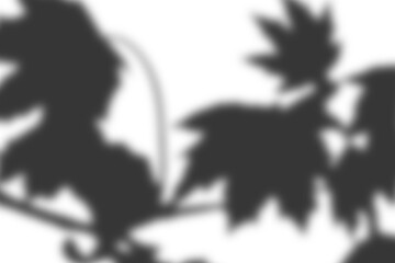 Leaf shadow overlay effect. Background with tropical leaves shadows