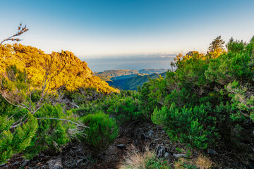 Hiking on the highest peak of Madeira Pico Ruivo next to the cottage Abrigo do Pico Ruivo. Views of...