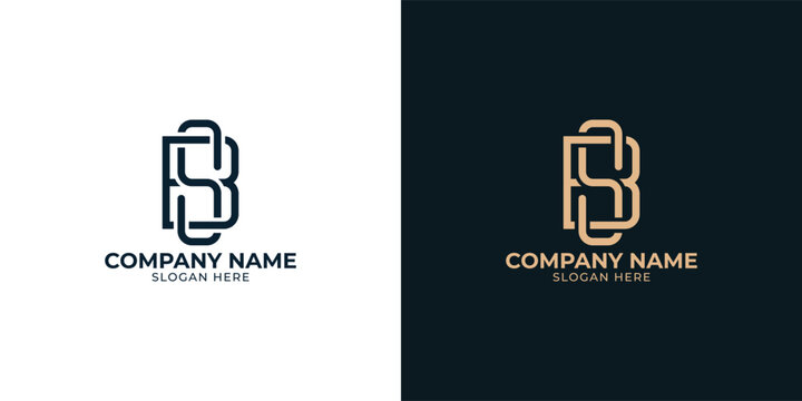 Interlocking BS: Creative Letter Logo