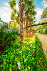 Monte Palace, Tropical Garden with Waterfalls, Lakes and traditional buildings above the city of Funchal