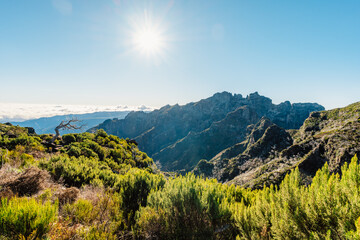 Hiking on the highest peak of Madeira Pico Ruivo next to the cottage Abrigo do Pico Ruivo. Views of...