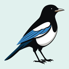 Magpie bird black and white Silhouette Art. Oriental magpie robin bird design on white background. Easy editable layered illustration. Wild Animals.