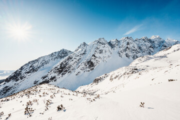 Alpine mountains landscape with white snow and blue sky. Sunset winter in nature. Frosty trees under warm sunlight. Wintry landscape. High tatras, Slovakia
