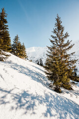 Alpine mountains landscape with white snow and blue sky. Frosty trees under warm sunlight. Wonderful wintry landscape High Tatras, slovakia