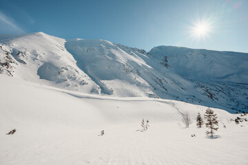 Alpine mountains landscape with white snow and blue sky. Frosty trees under warm sunlight. Wonderful wintry landscape High Tatras, slovakia
