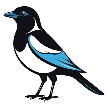 recommend clip art: Magpie bird black and white Silhouette Art. Oriental magpie robin bird design on white background. Easy editable layered illustration. Wild Animals.