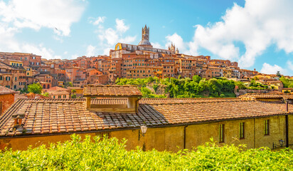 Fototapeta premium Siena, medieval town in Tuscany, with view of the Dome & Bell Tower of Siena Cathedral, Mangia Tower and Basilica of San Domenico, Italy
