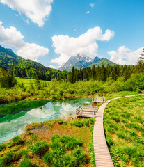 Nature Reserve Zelenci, krajnska gora, Slovenia, Europe. Wonderful morning view of Zelenci nature...