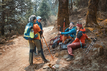 Group happy hiker friends with backpacks together resting talking in mountain forest. Trekking...