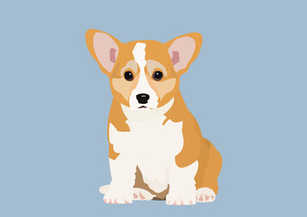 Dog Corgi Vector Illustration