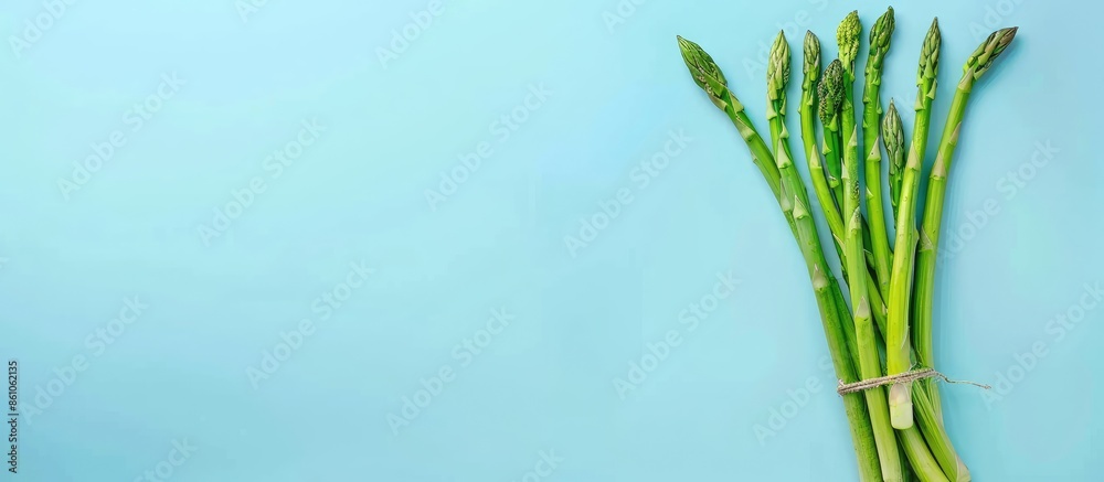 Leinwandbilder bunch of fresh asparagus isolated on pastel background. with copy space image. place for adding text
