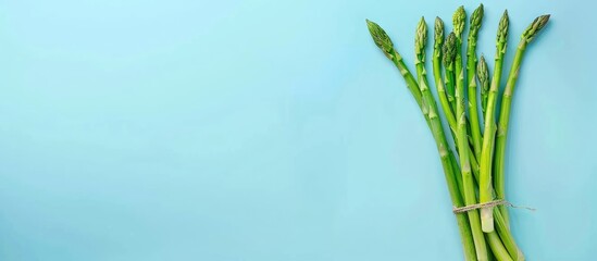 Bunch of fresh asparagus Isolated on pastel background. with copy space image. Place for adding text or design