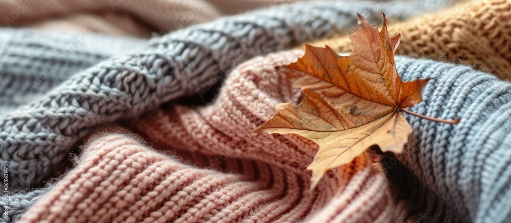 Leinwandbilder autumn composition with cozy knitted sweaters in pastel shades and a dry leaf. with copy space image