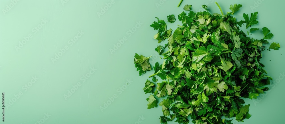 Poster heap of dry parsley on the pastel background food isolated. with copy space image. place for adding 