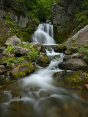 Fototapeta premium Waterfall in the forest in New Zealand, mysterious scene long exposure time