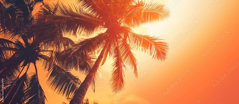 Poster evenings on the beach with dark colored coconut trees will relax the orange summer sky. copy space i