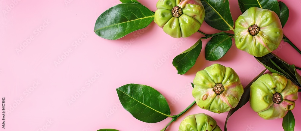 Fototapete garcinia cambogia isolated on pastel background garcinia. with copy space image. place for adding te