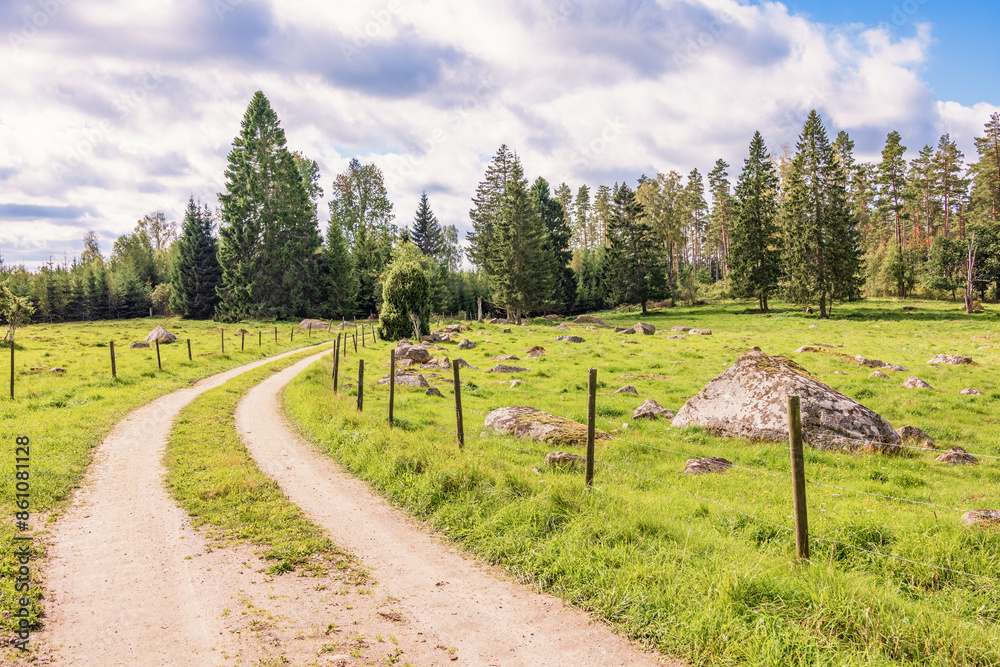 Sticker Winding dirt road in a rural meadow landscape with a beautiful sunny summer day