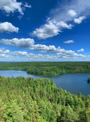 Fototapeta premium Forest lake scenery with blue water and sky with white clouds