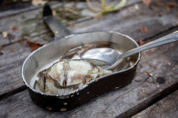 Freshly caught river fish in a military pot lid