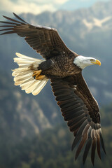 Obraz premium Majestic bald eagle soaring over mountain landscape