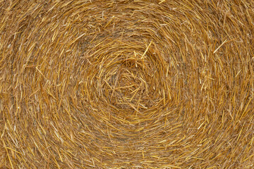Hay bales