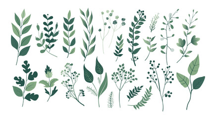 Set of isolated floral illustration with flowers, branches, berries, feathers, leaves and cute elements in simple plain graphic style on transparent background. Green color tone 2. © Plawarn