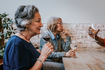 Friends drinking wine at restaurant