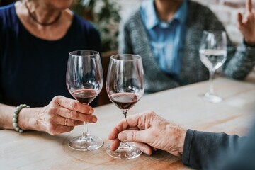 Friends drinking wine at restaurant