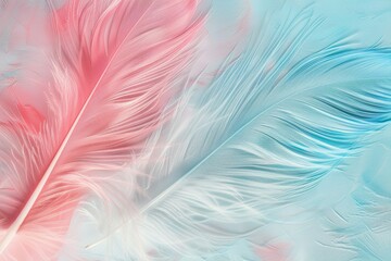 Obraz premium Gentle pastel feathers on textured background