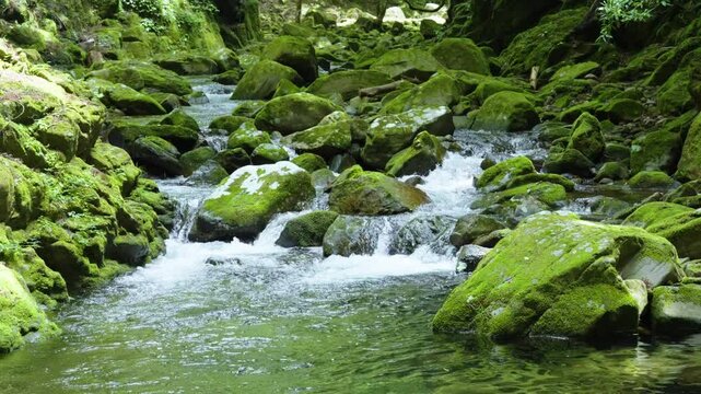 赤目四十八滝の水の流れ